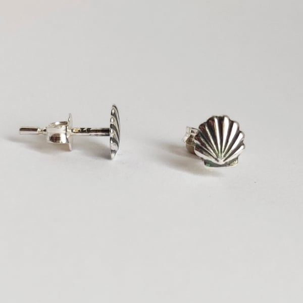 Silver Shell Mini Stud Earrings 925