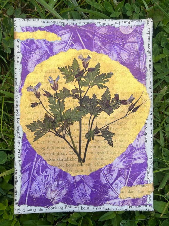 Forget Me Not Sun - Original Gel Plate Print with Pressed Flowers