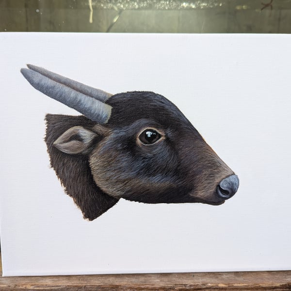 Mountain Anoa - Endangered Species Charity Painting 