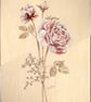 Pink and white painting of roses on canvas with pink and cream background - Image 2