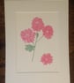 Pink Mums botanical art giclee print of a bunch of pink chrysanthemums - Image 1