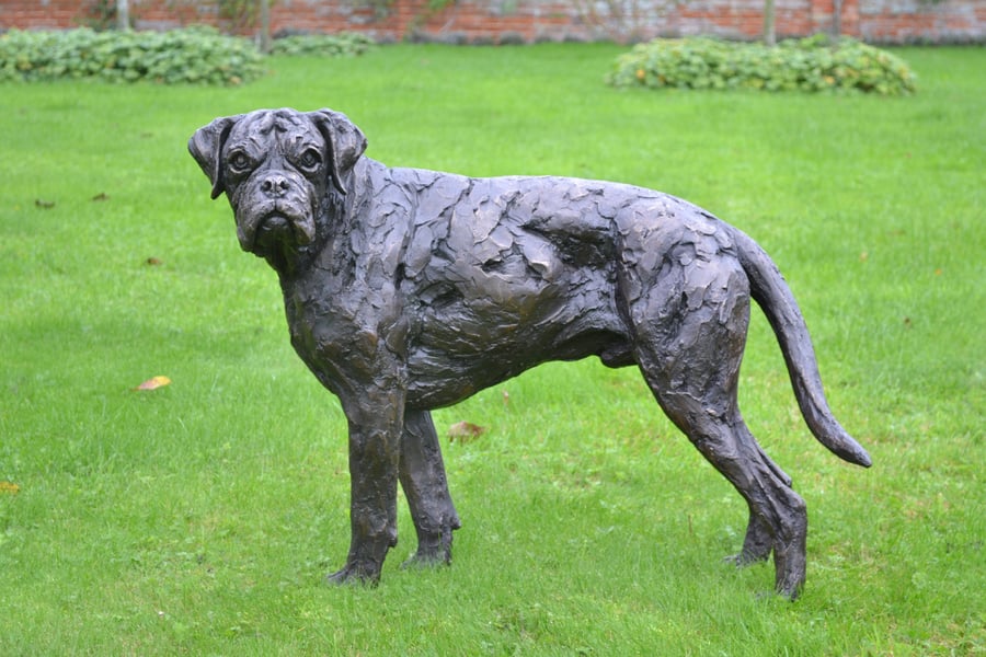 Standing Boxer Dog Statue Large Bronze Resin Garden Sculpture