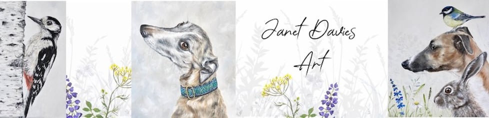 Janet Davies Art
