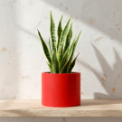 Large Red Round Plant Pot 15 cm, Handmade Indoor Planter