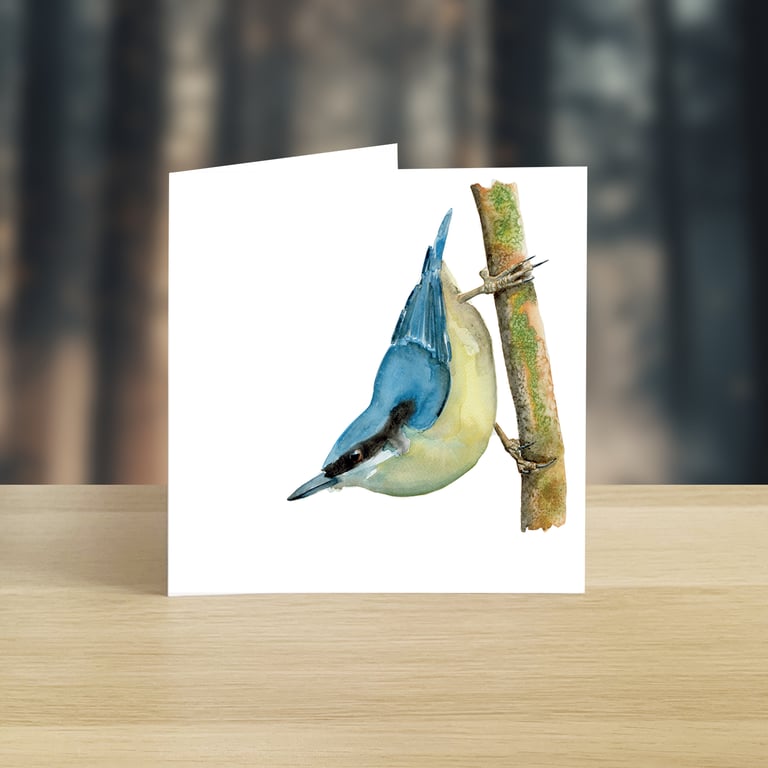 Nuthatch greeting card (blank)