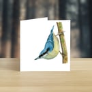 Nuthatch greeting card (blank)