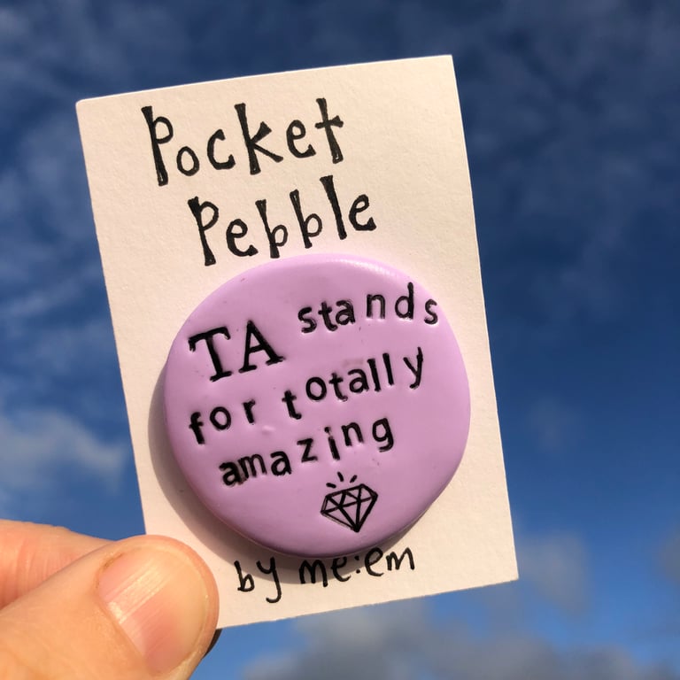 TA stands for Totally Amazing Teaching Assistant Gift Pocket Pebble