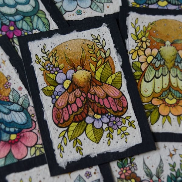midsummer moth 2 - original aceo illustration