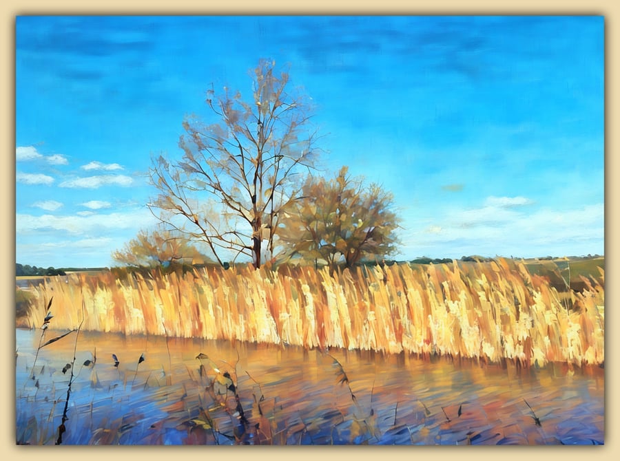 Sun on the Creek Winter Walk Norfolk Fens Greeting Card A5