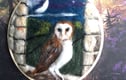 Owls