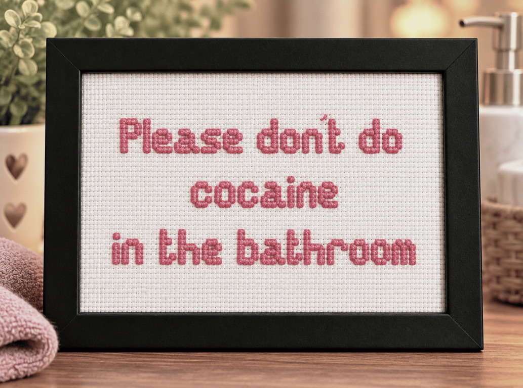 Funny Handmade Framed Cross-Stitch – Please Don't Do Cocaine in the Bathroom 