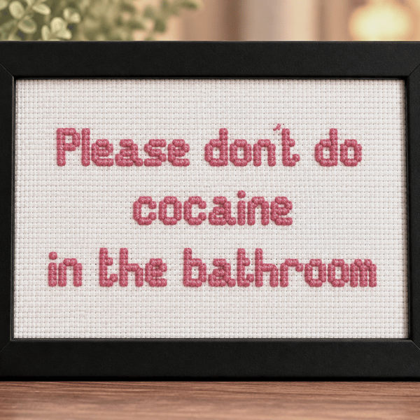 Funny Handmade Framed Cross-Stitch – Please Don't Do Cocaine in the Bathroom 