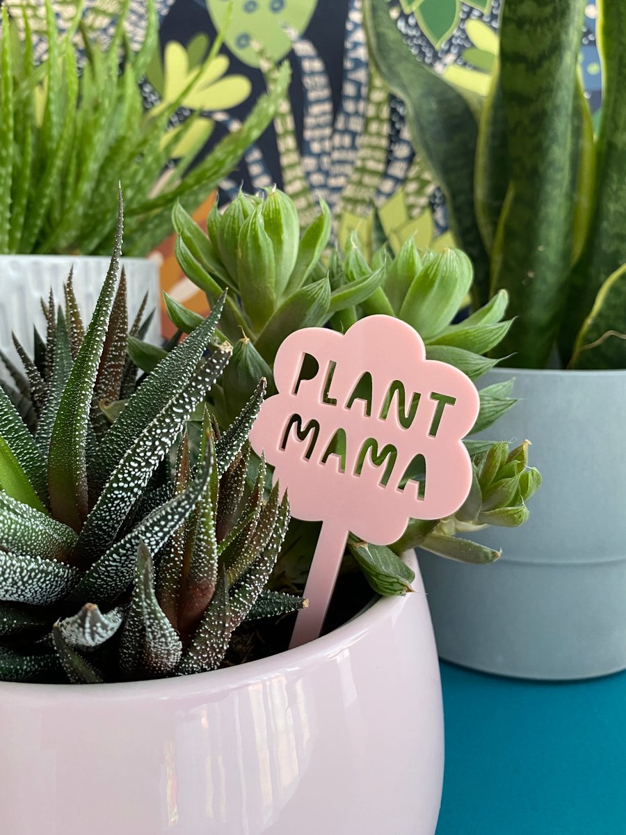 Indoor gardener plant stake, unique gifts for plant lovers, motivational quote