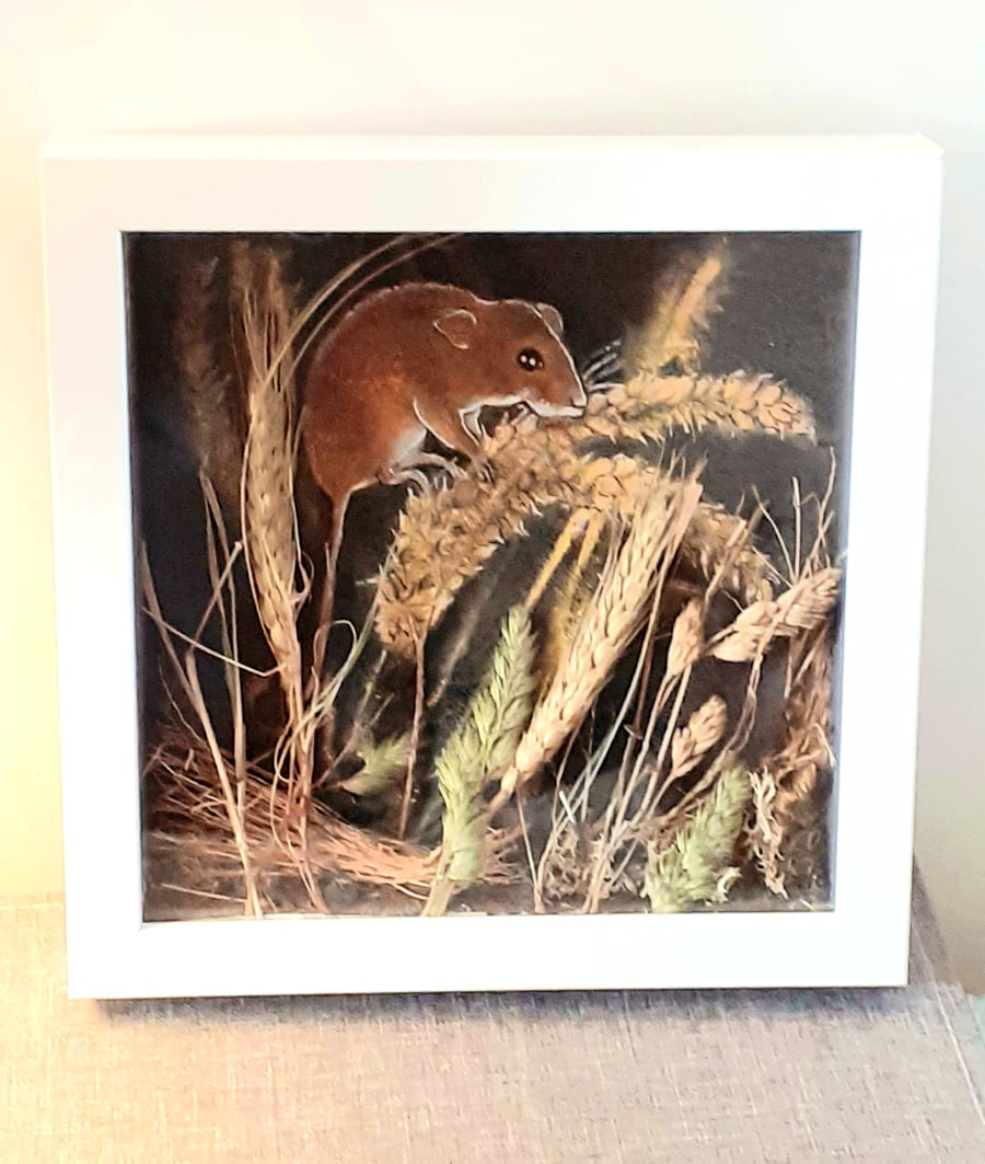 "Harvest"  ..Framed  harvest mouse acrylic painting with real  dried grasses 