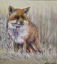 Fox (2021) - Image 2