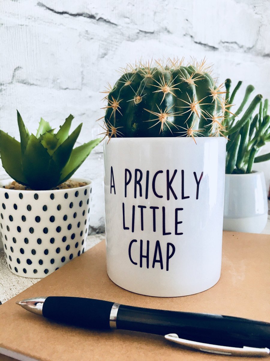 Funny Plant pot, planter, cactus pot, Prickly chap, Funny gift for men