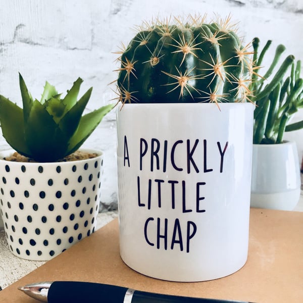 Funny Plant pot, planter, cactus pot, Prickly chap, Funny gift for men