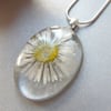 Real Daisy Necklace in Resin Summer Nature - DAISY 