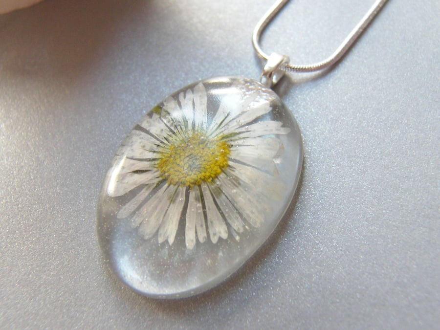Real Daisy Necklace in Resin Summer Nature - DAISY 