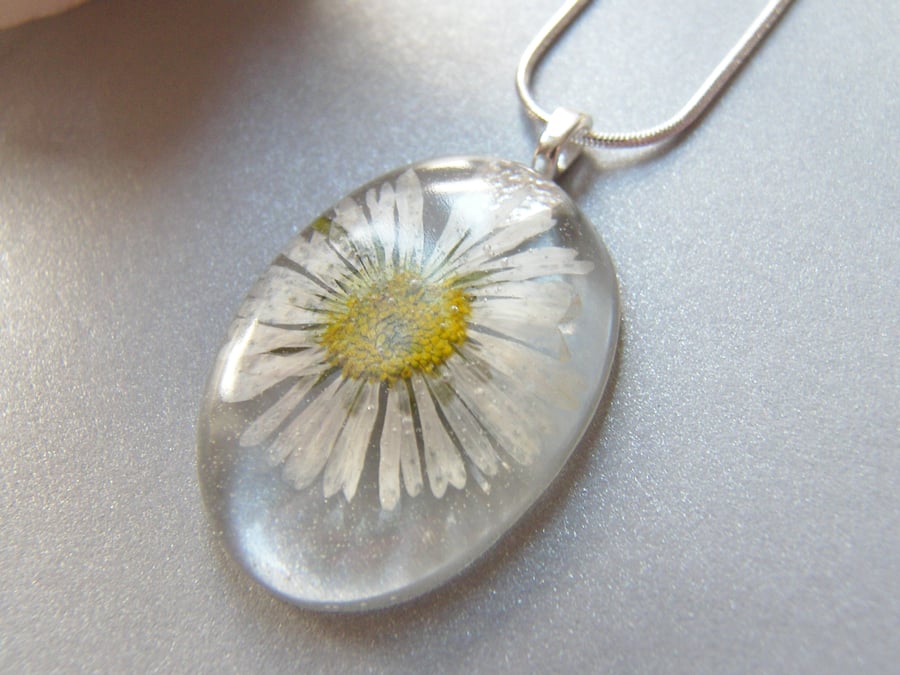Real cheap daisy necklace