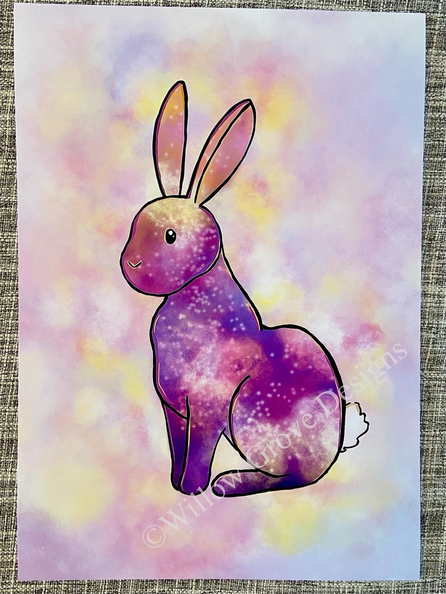 Colourful bunny nova print 