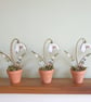 Potted Wooden Snowdrop Flower Home Decoration