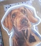 watercolour print greeting card handmade- no 9 hound