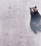 Bear print - Zoo print - Animal print  - Image 3