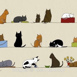 Cats. Signed print. Digital illustration. Pets. Animals