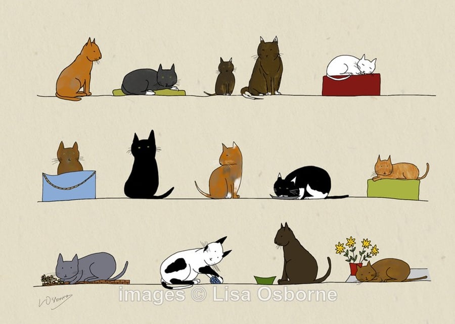 Cats. Signed print. Digital illustration. Pets. Animals