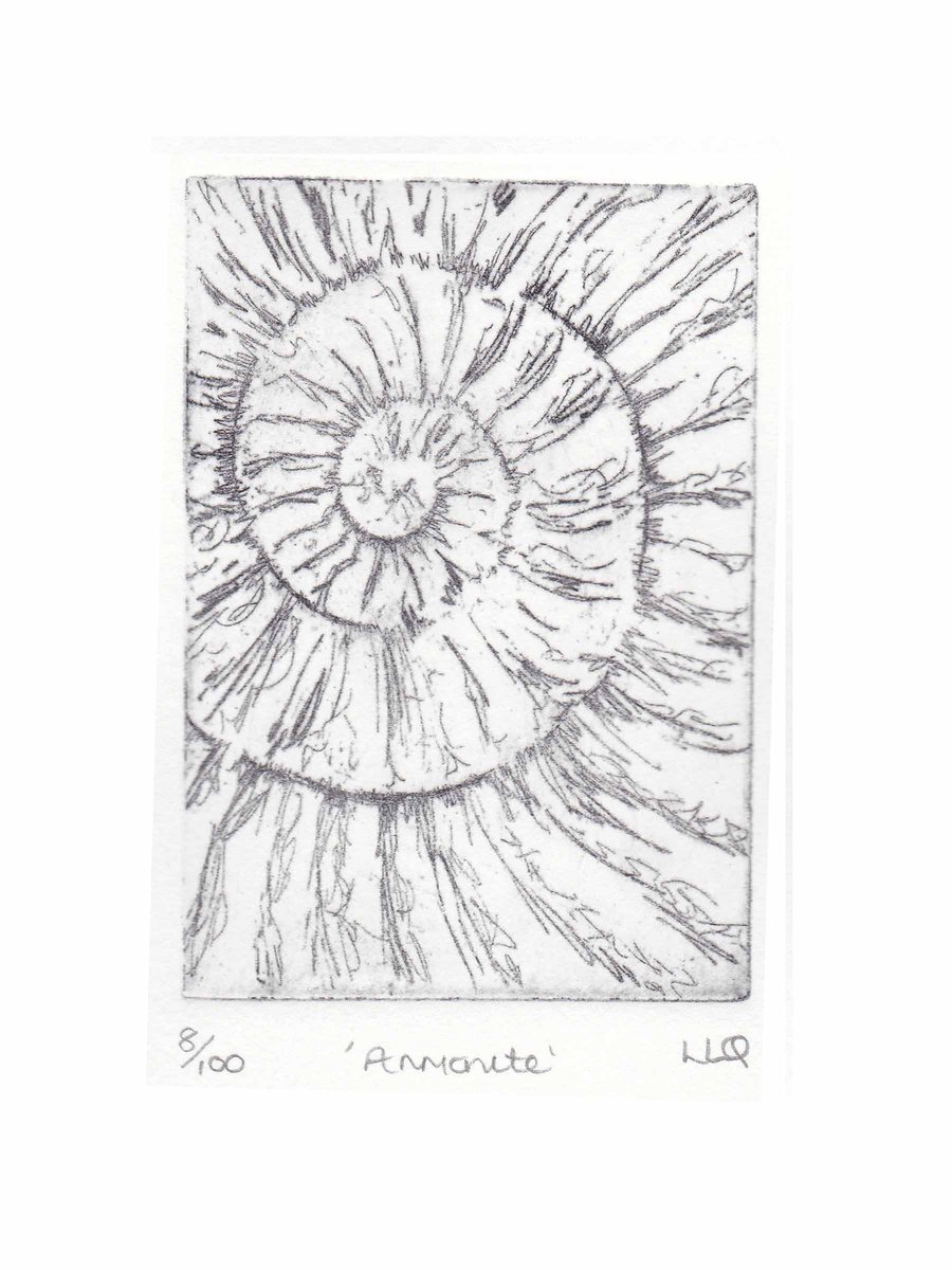 Etching no.8 of an ammonite fossil in an edition of 100