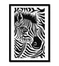 Stripes Of A Zebra A4 Original Art Pen And Ink Drawing - Image 1