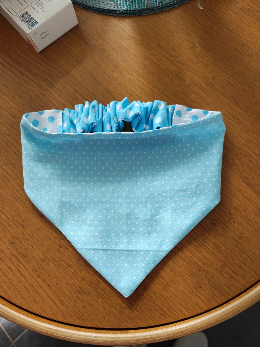 Dog bandana 