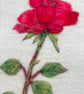 Hand Felted Rose Textile Artwork 