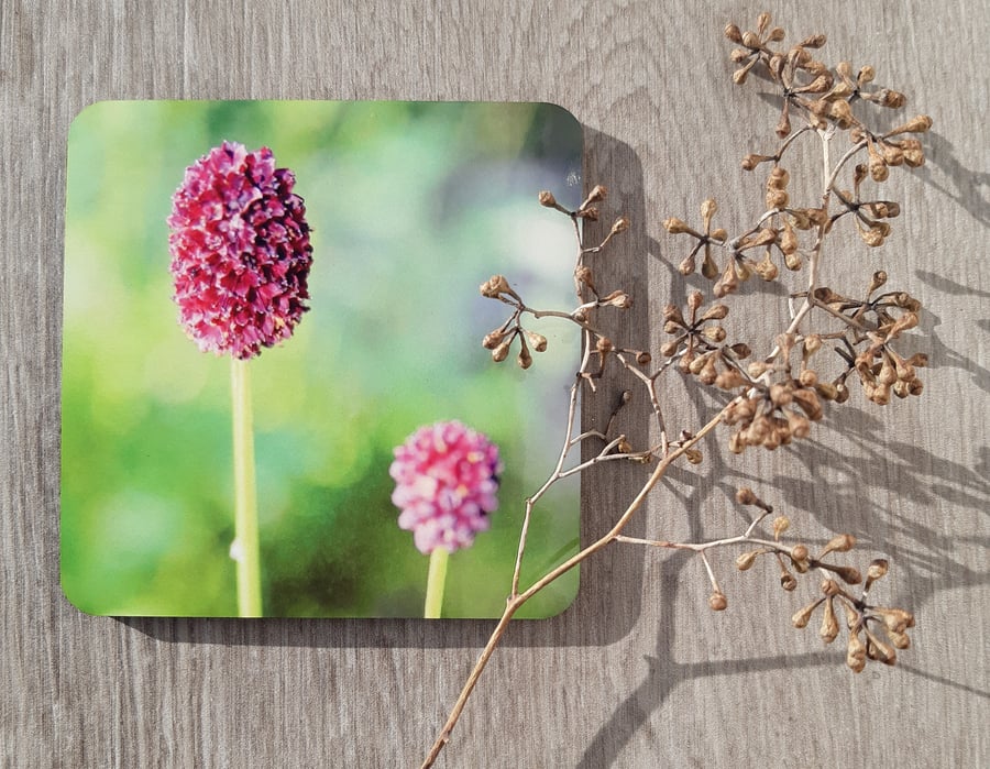 Perfectly Imperfect- Coaster set - 2 mdf coasters -  Allium floral print.