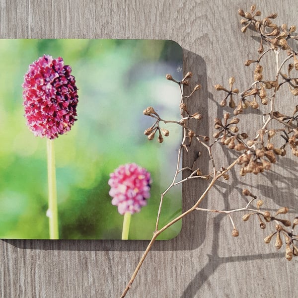 Perfectly Imperfect- Coaster set - 2 mdf coasters -  Allium floral print.