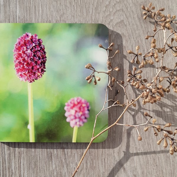 Coaster set - 2 mdf coasters - tableware -  Allium floral print.