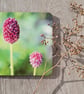 Perfectly Imperfect- Coaster set - 2 mdf coasters -  Allium floral print. - Image 1