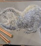 Otter, an A4 or A3 print of an original drawing - Image 4