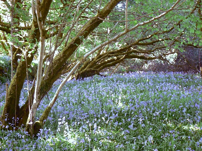 Fernworthy Reservoir on Dartmoor