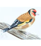 Goldfinch Original Watercolour Painting 21 x 14 cm