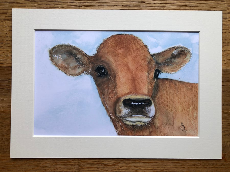 SPECIAL OFFER A4 mounted print of Constantine Calf from my original watercolour 