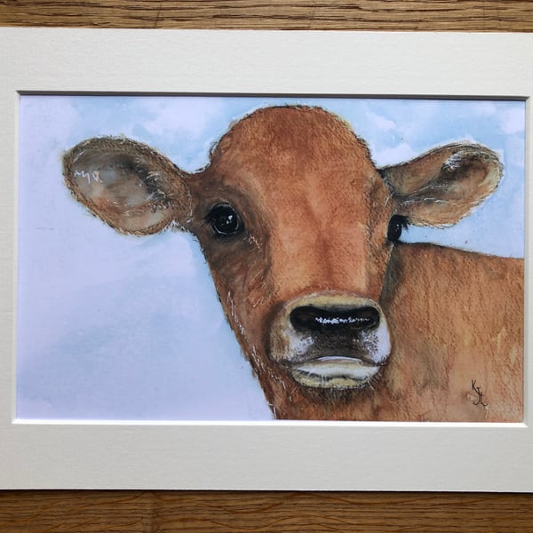 SPECIAL OFFER A4 mounted print of Constantine Calf from my original watercolour 