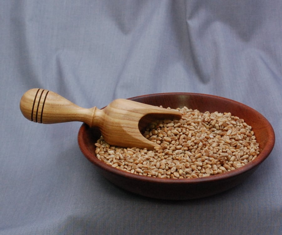 Wooden Scoop in English Ash Folksy