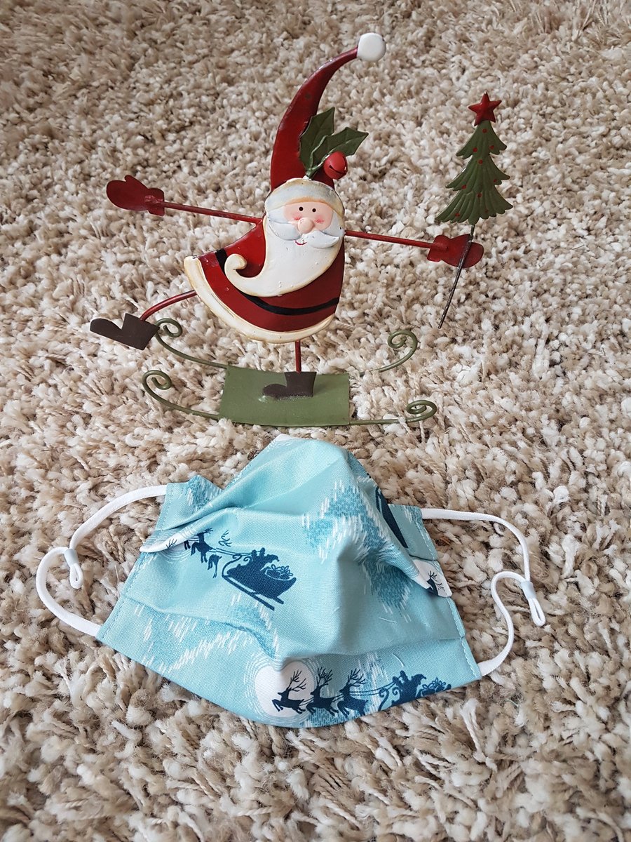 Adult festive face covering – Teal Santa & Reindeer print