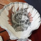 Shell trinket dish