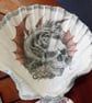 Shell trinket dish