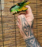 Dragon finger Puppet - Green and Yellow - Image 2
