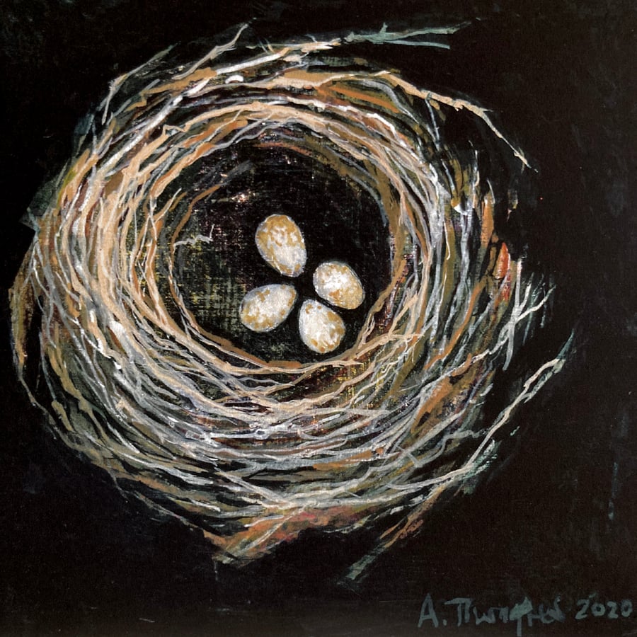 Robins eggs, giclee print. 