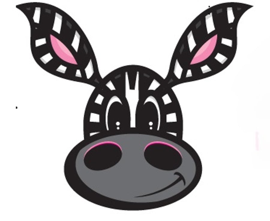 Funky Zebra
